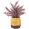 Northlight 12&#x22; Artificial Purple Cypress Plant in a Ceramic Pot